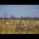 Die Vegetation neben der Straße wechselt schnell